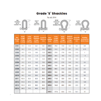 19MM 4.7T DEE SCREW PIN SHACKL