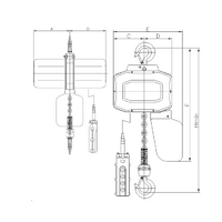 ELECTRIC HOIST 2T X 6MT