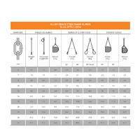 CHAIN SLING 6MM SINGLE LEG 1.0