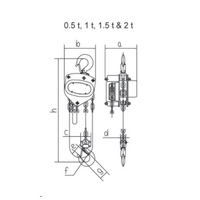 TB CHAIN BLOCK (A) 2T 6M (CT2006)