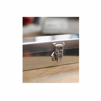 Non-Adjustable Toggle Latch  - 300 Strength (kg) - Stainless